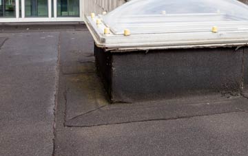 disadvantages of North Walney flat roofs