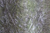 North Walney fibreglass roof work